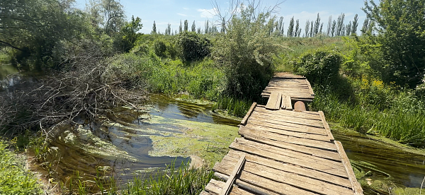 Земля 4,7 га сельхоз назначения в Крыму село Митрофановка Нижнегорского района